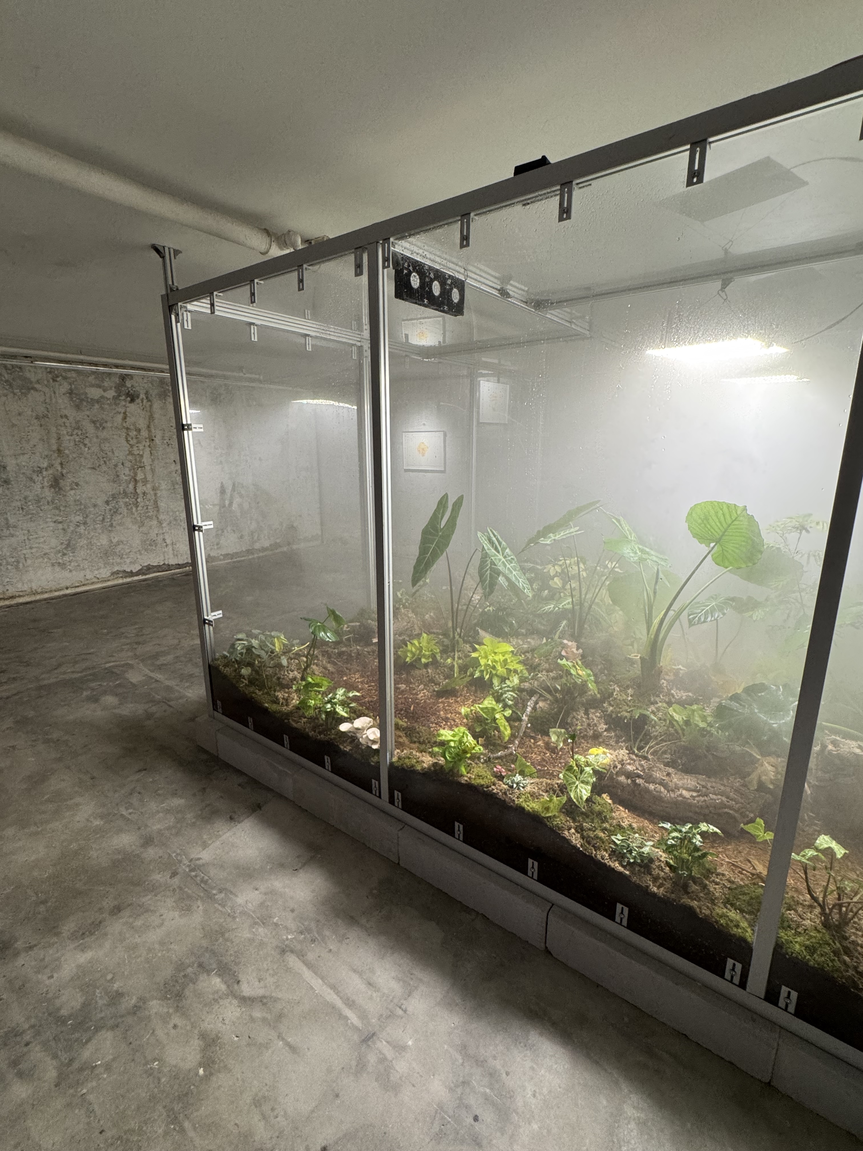 SEED restaurant supply