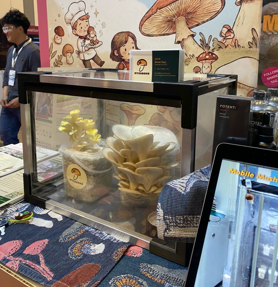 Myconoko Mushroom Box