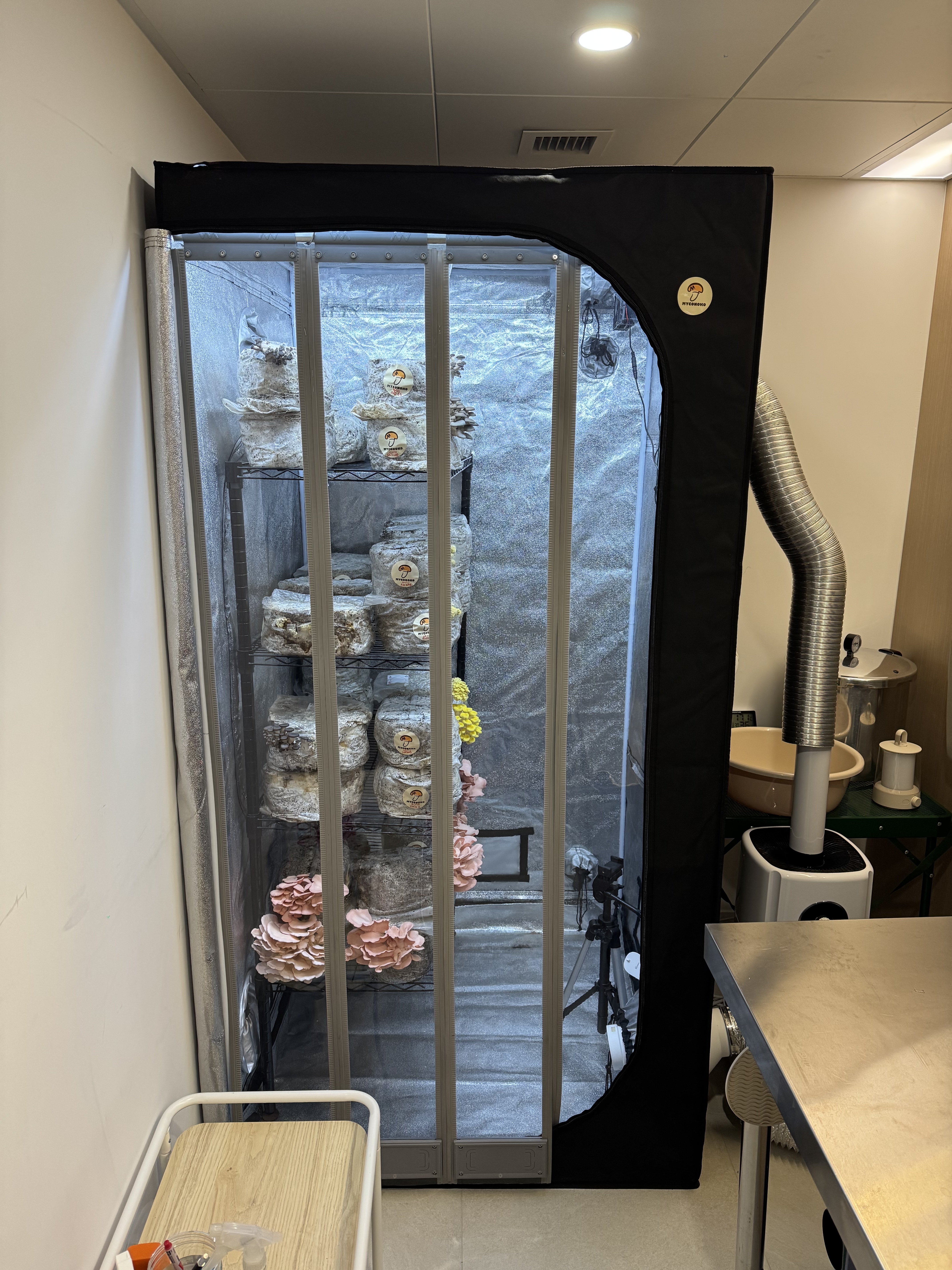 Automated Mushroom Cultivation System