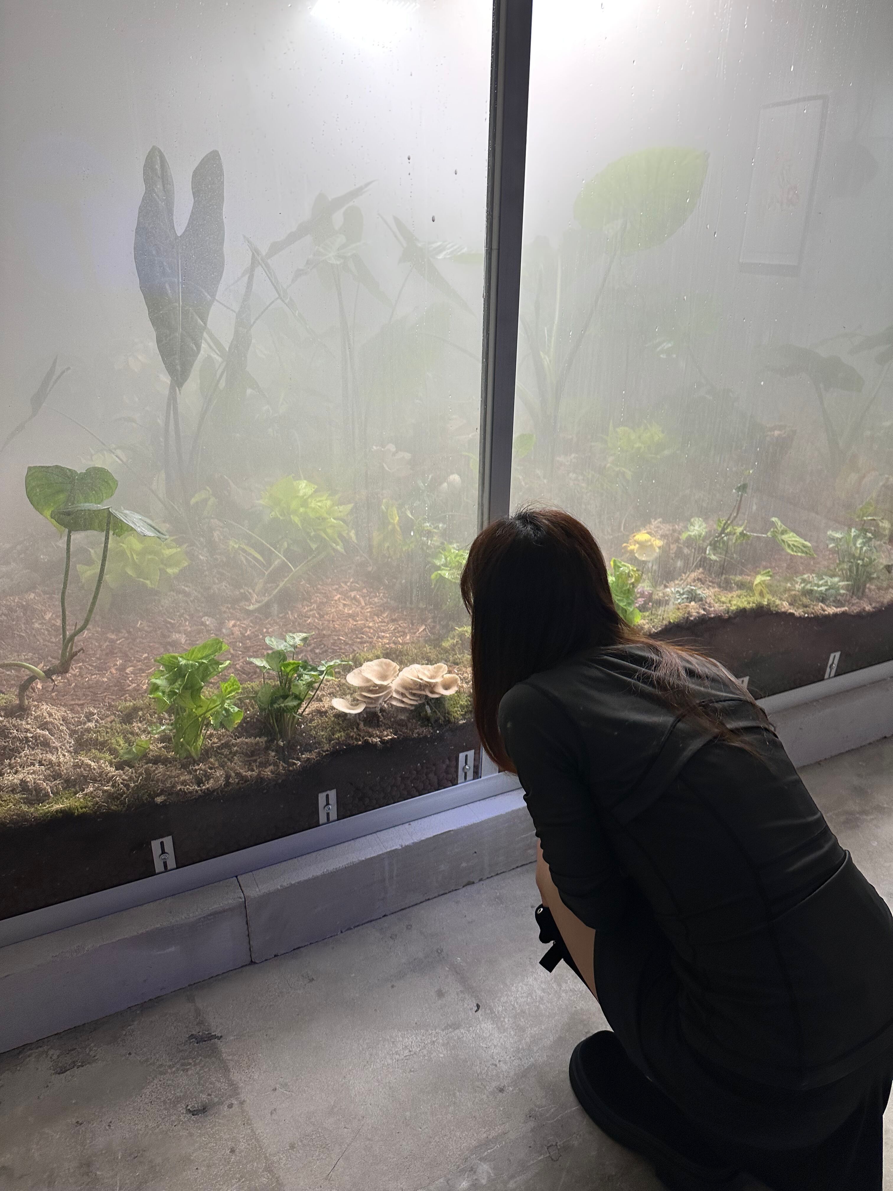 Custom Urban Mushroom Farm