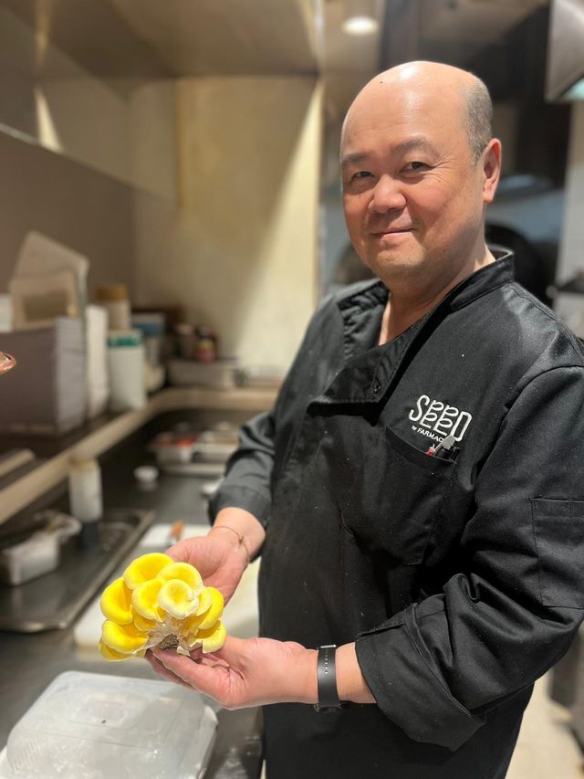 SEED restaurant supply