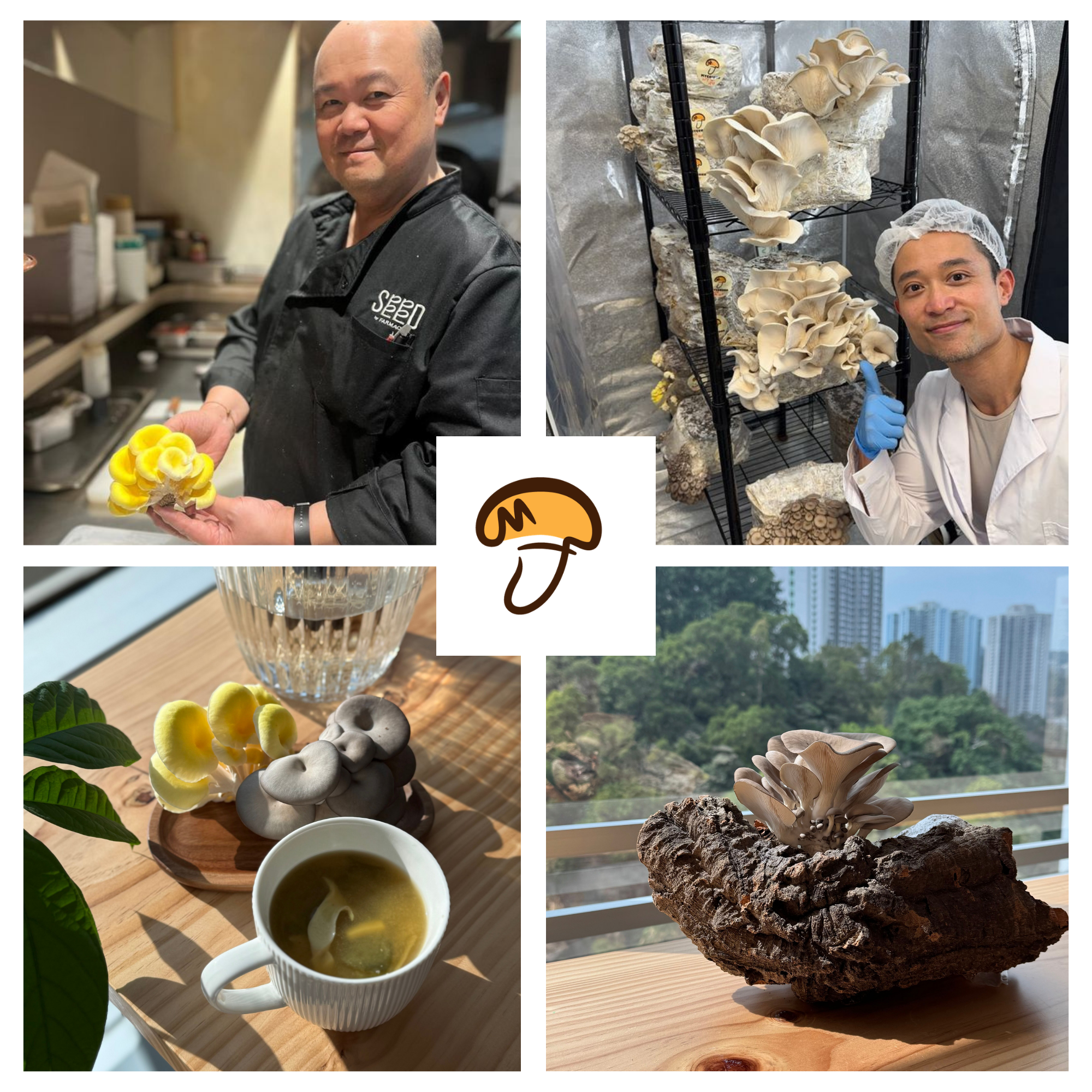 Myconoko Urban Mushroom Farm